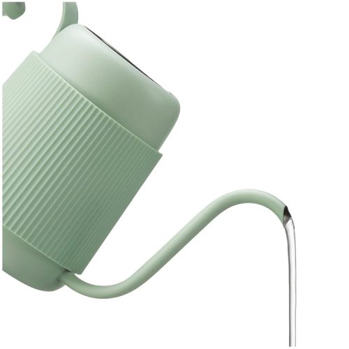 BUYDEEM Gooseneck Pour Over Coffee Kettle, model CD2006, color Cozy Greenish
