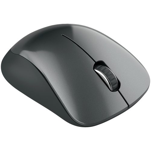 CANYON mouse MW-11 Wireless Black