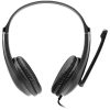 CANYON CHSU-1 basic PC headset with microphone, USB plug, leather pads, Flat cable length 2.0m, 160*60*160mm, 0.13kg, Black;