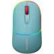 CANYON mouse MW-22 Dual Band RGB Wireless Dark Cyan