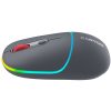 CANYON MW-22, 2 in 1 Wireless optical mouse with 4 buttons,Silent switch for right/left keys,DPI 800/1200/1600, 2 mode(BT/ 2.4GHz),  650mAh Li-poly battery,RGB backlight,Dark grey, cable lengt...