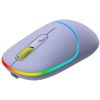 CANYON MW-22, 2 in 1 Wireless optical mouse with 4 buttons,Silent switch for right/left keys,DPI 800/1200/1600, 2 mode(BT/ 2.4GHz),  650mAh Li-poly battery,RGB backlight,Mountain lavender, cab...