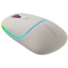 CANYON MW-22, 2 in 1 Wireless optical mouse with 4 buttons,Silent switch for right/left keys,DPI 800/1200/1600, 2 mode(BT/ 2.4GHz),  650mAh Li-poly battery,RGB backlight,Rice, cable length 0.8...