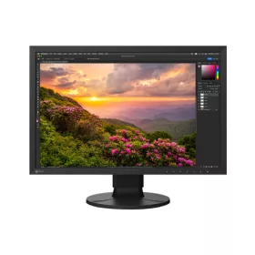 EIZO 24" CS2400S "CS" monitor, fekete
