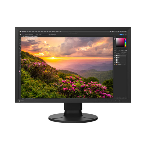 EIZO 24" CS2400S "CS" monitor, fekete