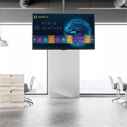 StarTech.com Ceiling Mount for Flat Panel Display