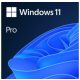 Microsoft-OEM Win 11 Pro 64Bit Eng Intl 1pk DSP OEI DVD