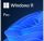 Microsoft Windows 11 Professional 64-bit HUN DSP OEI DVD