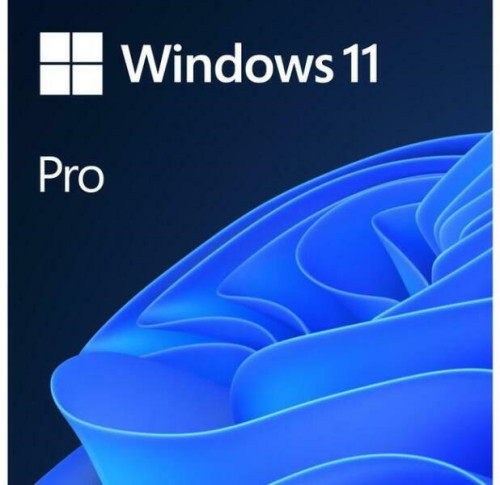 Microsoft Windows 11 Professional 64-bit HUN DSP OEI DVD