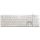 White Shark BILL White Shark GK-003241W-US TACHI vezetékes membrán gamer billentyűzet - fehér - US