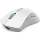 LENOVO-IDEA LENOVO Legion M600 Wireless Gaming Mouse (Stingray)