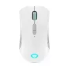LENOVO-IDEA LENOVO Legion M600 Wireless Gaming Mouse (Stingray)