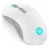 LENOVO-IDEA LENOVO Legion M600 Wireless Gaming Mouse (Stingray)