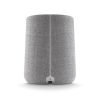 HARMAN KARDON Citation ONE DUO MKIII (All-in-one smart speaker with room-filling sound), Szürke