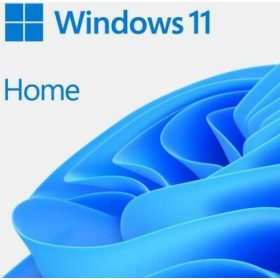 Microsoft-OEM Win 11 Home 64Bit Eng Intl 1pk DSP OEI DVD