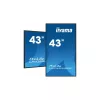 iiyama Prolite IPS 24/7 42.5", 3840x2160, 16:9, 800cd/m2, 8ms,1200:1, HDMIx2/DP/USBx2/RS232C/RJ45/, LH4365UHSB-B1