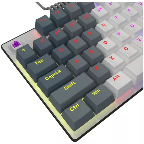 LORGAR Azar 514TKL, Wired RGB mechanical gaming keyboard, white, EN layout