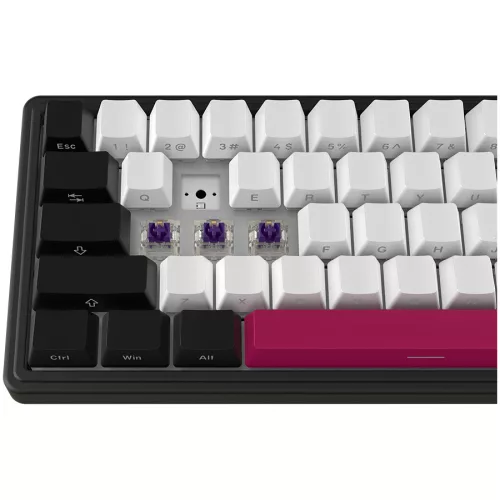 LORGAR KBP70MW, Wireless 65% Mechanical Gaming Keyboard Pro, Black/red, EN layout