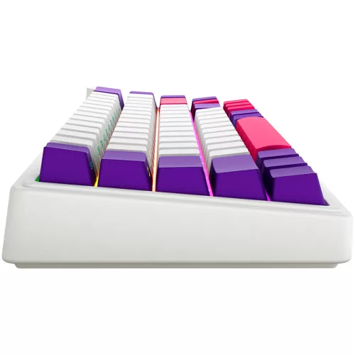 LORGAR KBP70MW, Wireless 65% Mechanical Gaming Keyboard Pro, White, EN layout