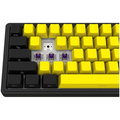 LORGAR KBP70MW, Wireless 65% Mechanical Gaming Keyboard Pro, Black/yellow, EN layout