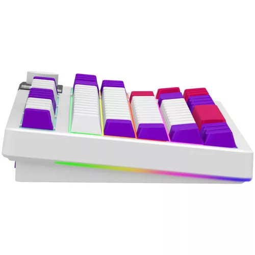 LORGAR KBP70TKLW, Wireless TKL Mechanical Gaming Keyboard Pro, White, EN layout