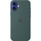 Apple iPhone 16 Plus Silicone Case with MagSafe - Lake Green (Seasonal)