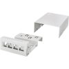 Delock Logilink Consolidation point box  4-port, desk/wall/rail mounting, grey