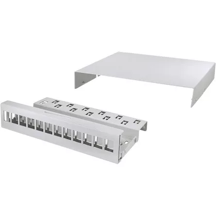 Delock Logilink Consolidation point box 12-port, desk/wall/r