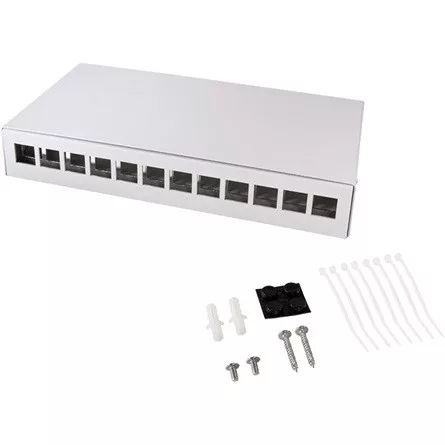 Delock Logilink Consolidation point box 12-port, desk/wall/r
