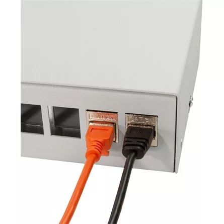 Delock Logilink Consolidation point box 12-port, desk/wall/r