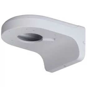 Dahua PFB203W
