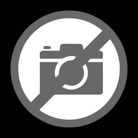 DMS-59 - 2 x DVI-I (10 cm)