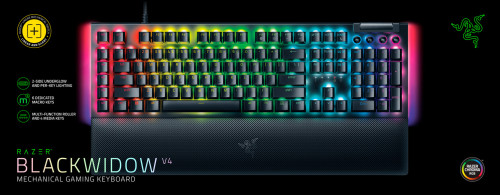 Razer BlackWidow V4 (Yellow Switch) - US Layout