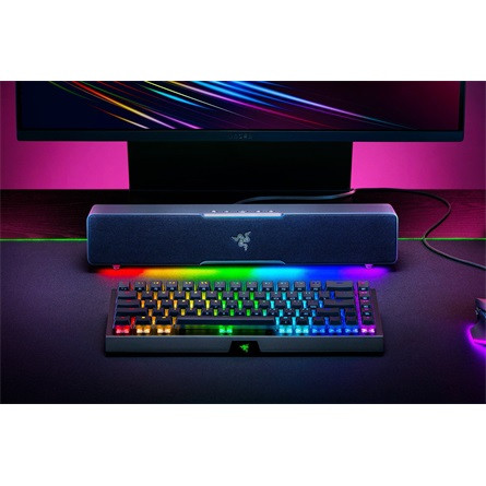 Razer Leviathan V2 X