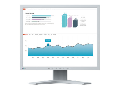 EIZO 19" S1934H-GY "S" monitor, szürke