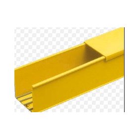   Panduit Channel, Solid Wall and Cover, No Mtg. Holes, (100mm x 100mm) 2m, Fiber-