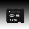 SILICON POWER M2 Card 2GB with M2 Adapter