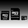 SILICON POWER Micro SDHC Card 4GB (Class 2) with Two Adapters