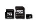 SILICON POWER Micro SDHC Card 4GB (Class 4) with Two Adapters