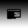 SILICON POWER Micro SDHC Card 8GB (Class 2) with SD Adapter