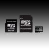 SILICON POWER Micro SDHC Card 8GB (Class 6) with Two Adapters