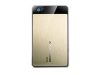 SILICON POWER HDD External Armor A50 (2.5",640GB,USB 2.0) Gold