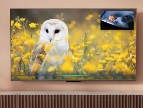 Panasonic TV-43W85BEZ 43" Mini LED, 4K HDR Smart TV, HCX Pro AI Processor MKII t