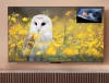 Panasonic TV-75W95BEG 75" Mini LED, 4K HDR Smart TV, HCX Pro AI Processor MKII t