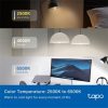 TP-LINK LED Izzó Wi-Fi-s E14, Multi Color, váltakozó színekkel, TAPO L430C(2-PACK)