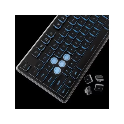 WHITESHARK WHITE SHARK  TACHI-B/US WS GK-003141B-US gamer billentyűzet, 104 gomb fekete (angol)