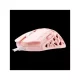WHITESHARK WHITE SHARK ECTOR-P WS GM-5016P  gamer egér 7D / 12.200 dpi pink RGB  PIXART PMW3327