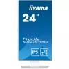 IIYAMA ProLite monitor, IPS, 23.8", 1920x1080, 16:9, 300 cd/m2, 1ms, 1300:1, HDMI/DisplayPort/USB