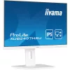 IIYAMA ProLite monitor, IPS, 23.8", 1920x1080, 16:9, 300 cd/m2, 1ms, 1300:1, HDMI/DisplayPort/USB