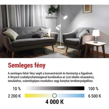 Emos ZF5264D  E27/11W (100W)/1521 lm/természetes fehér Filament A60 LED izzó